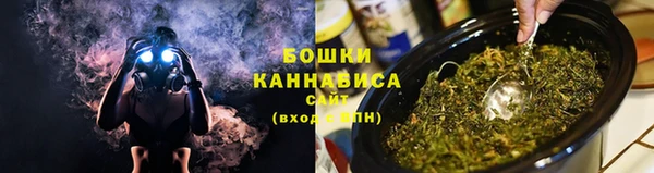 трава Архангельск