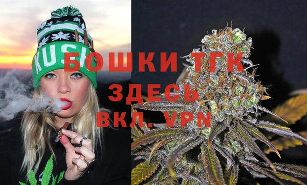 трава Архангельск