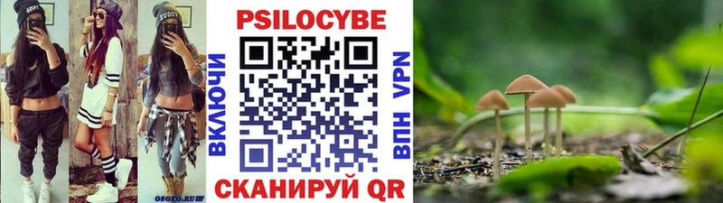 hydra как зайти  Зеленодольск  Псилоцибиновые грибы MAGIC MUSHROOMS 