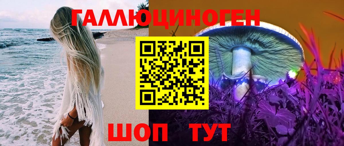 Псилоцибиновые грибы Psilocybine cubensis Зеленодольск