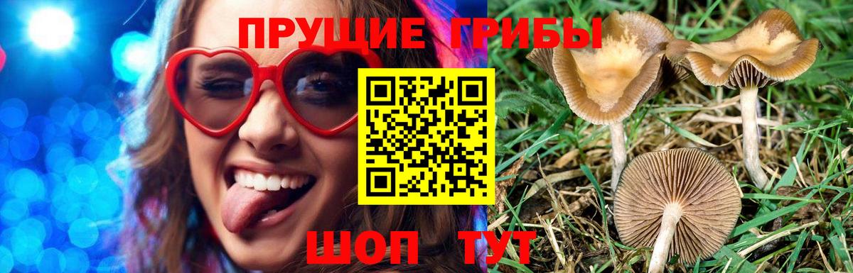 Зеленодольск  Галлюциногенные грибы Psilocybe  Галлюциногенные грибы MAGIC MUSHROOMS  как найти закладки  Вход с VPN 